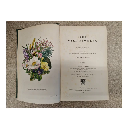 Sowersby's British Wild Flowers boek 1894 - Image 5