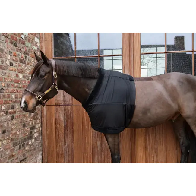 Kentucky Borstbeschermer (Paardensport) - Image 3